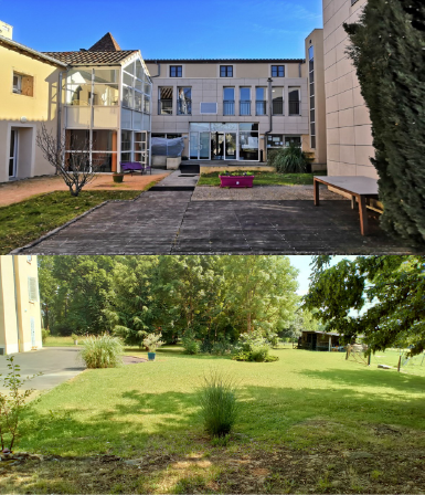 Quand le vivant devient support d’accompagnement